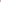 TCK Woodland Camo Knee High Socks - Hot Pink Camo - HIT a Double