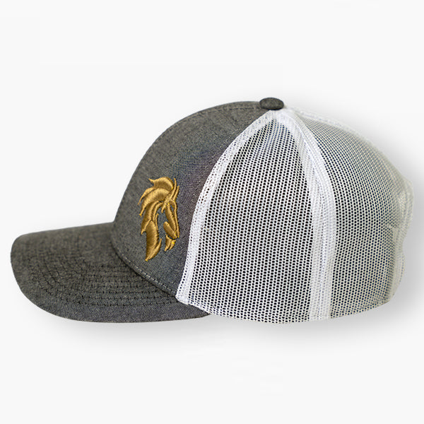 VSA Gray Trucker